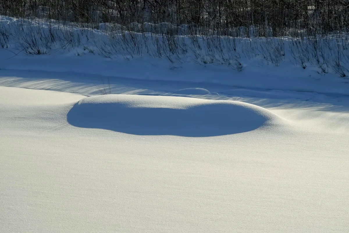 Ruhige Winterszene mit makellosem Schnee und weichen Schatten unter klarem Himmel