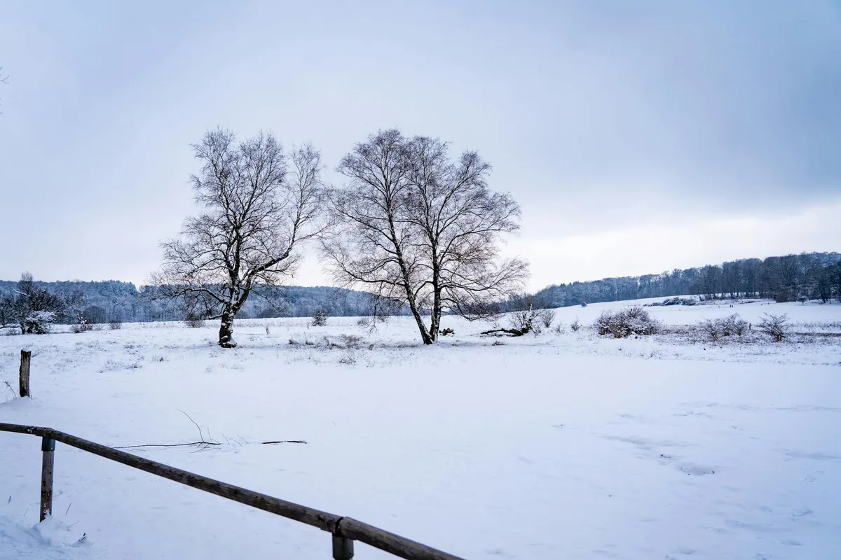 Veduta invernale di alberi e campi innevati a Lenningen, Germania.