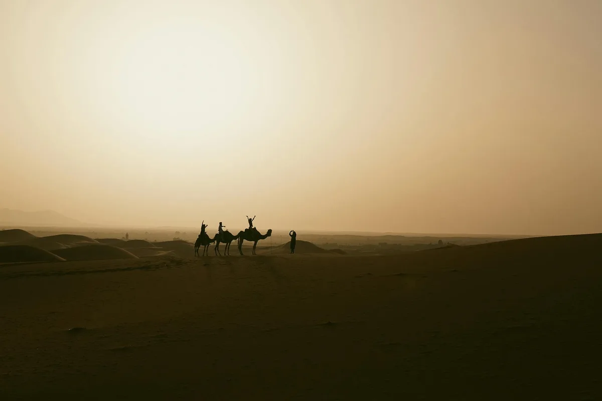 Silhouette di carovana di cammelli al tramonto nel Sahara vicino a Merzouga, Marocco.