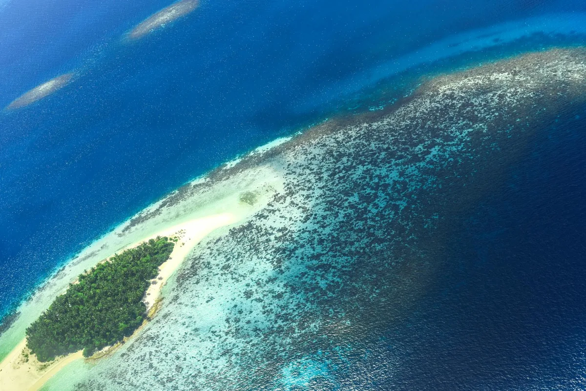 Atemberaubende Luftaufnahme einer üppigen tropischen Insel, umgeben von Korallenriffen und türkisem Wasser