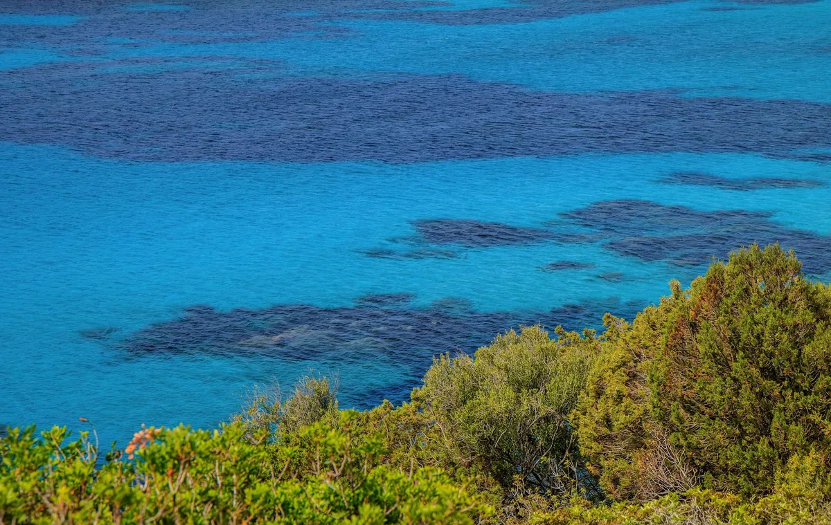 Vue plongeante sur la côte de Sardaigne, eaux turquoise et verdure