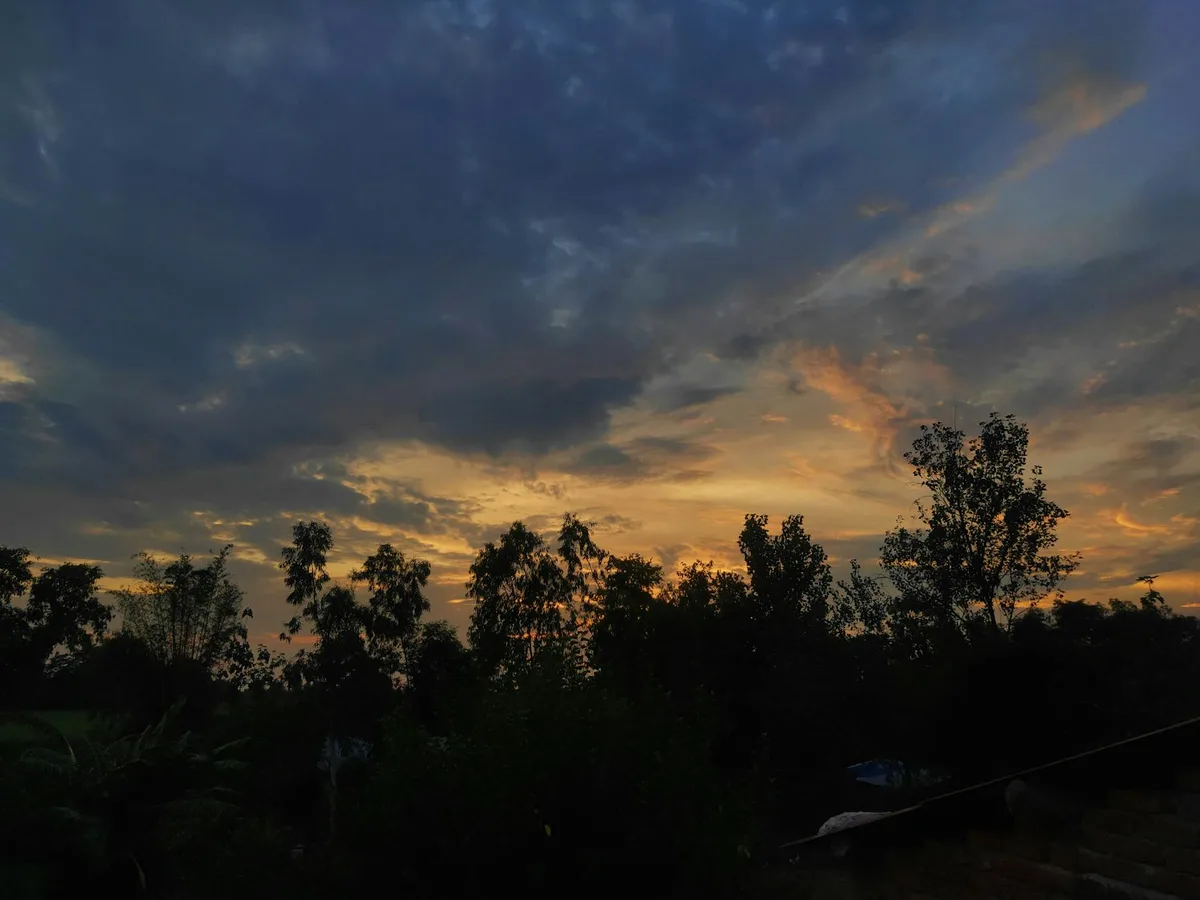 Silhouette di alberi al tramonto contro cielo crepuscolare colorato e nuvoloso