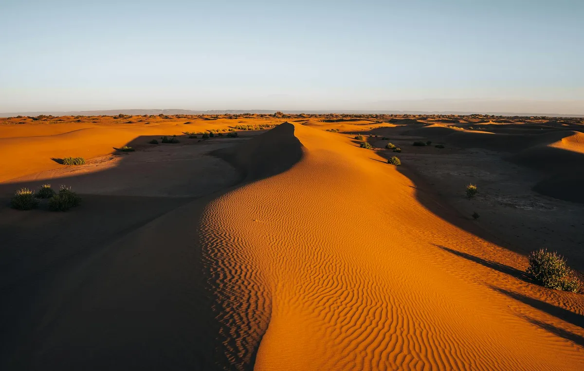 Dunes de sable ensoleillées dans le Sahara marocain projetant de longues ombres au crépuscule.