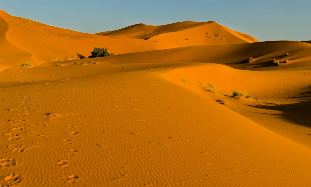 Lebendige orangefarbene Sanddünen in der Sahara bei goldenem Licht