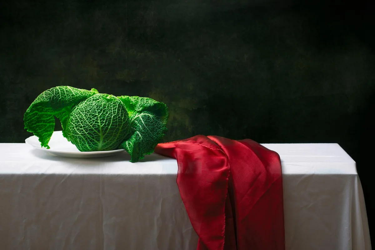 흰색 테이블보 위에 사보이 양배추와 레드 드레이프를 연출한 정물 이미지