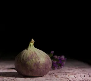 Moody still life of a single fresh fig against a dark background, highlighting texture.