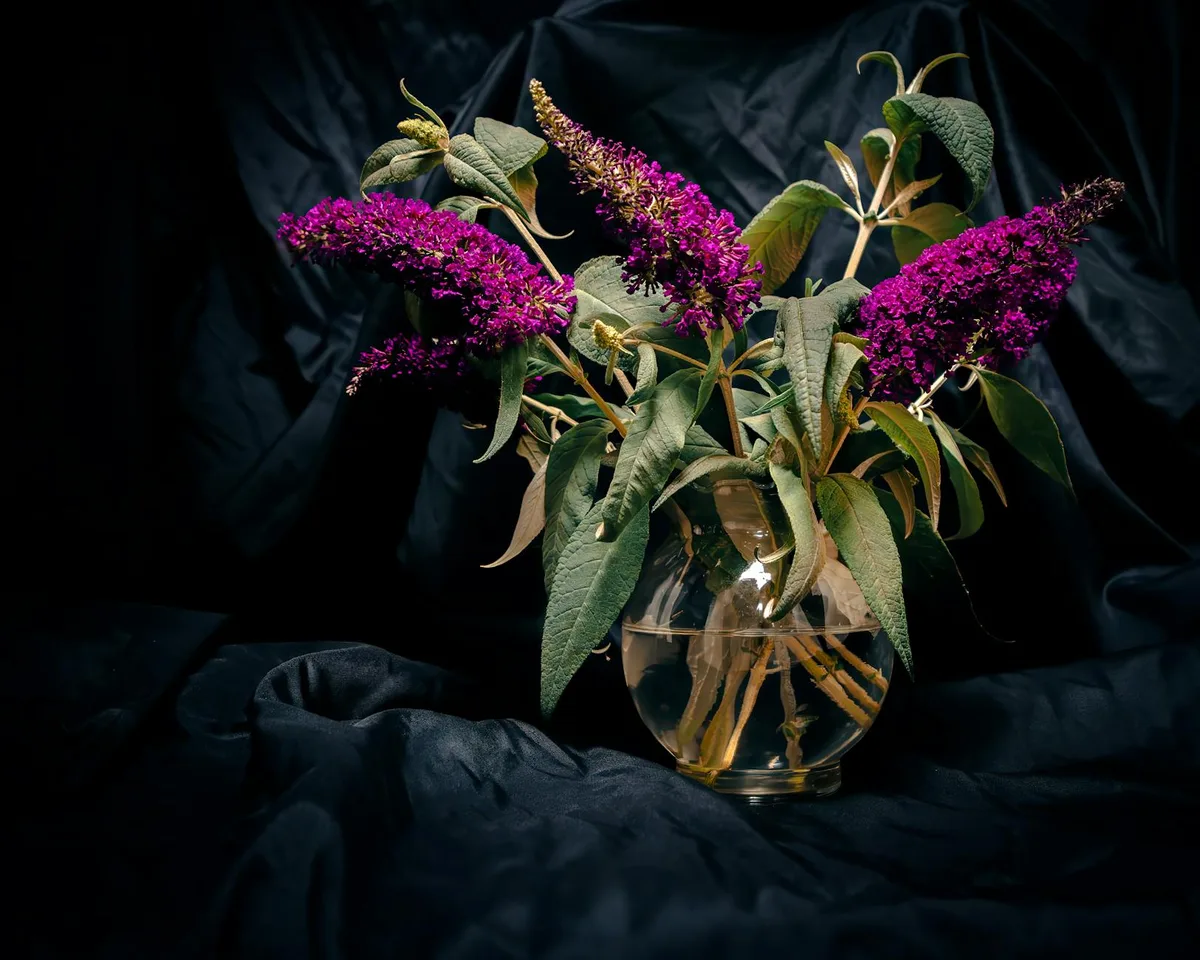 Lila Schmetterlingsflieder-Blüten in Glasvase vor dunklem Hintergrund