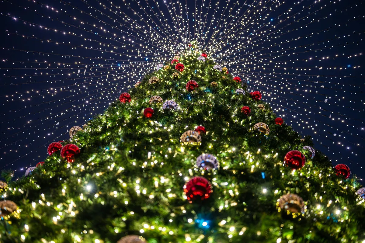 璀璨圣诞树彩灯装饰，节日氛围浓郁