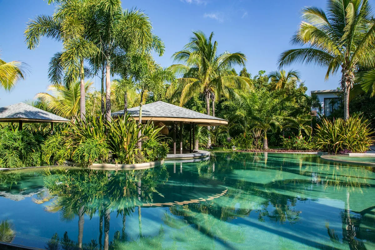 A serene tropical resort pool surrounded by lush palm trees under a clear blue sky.