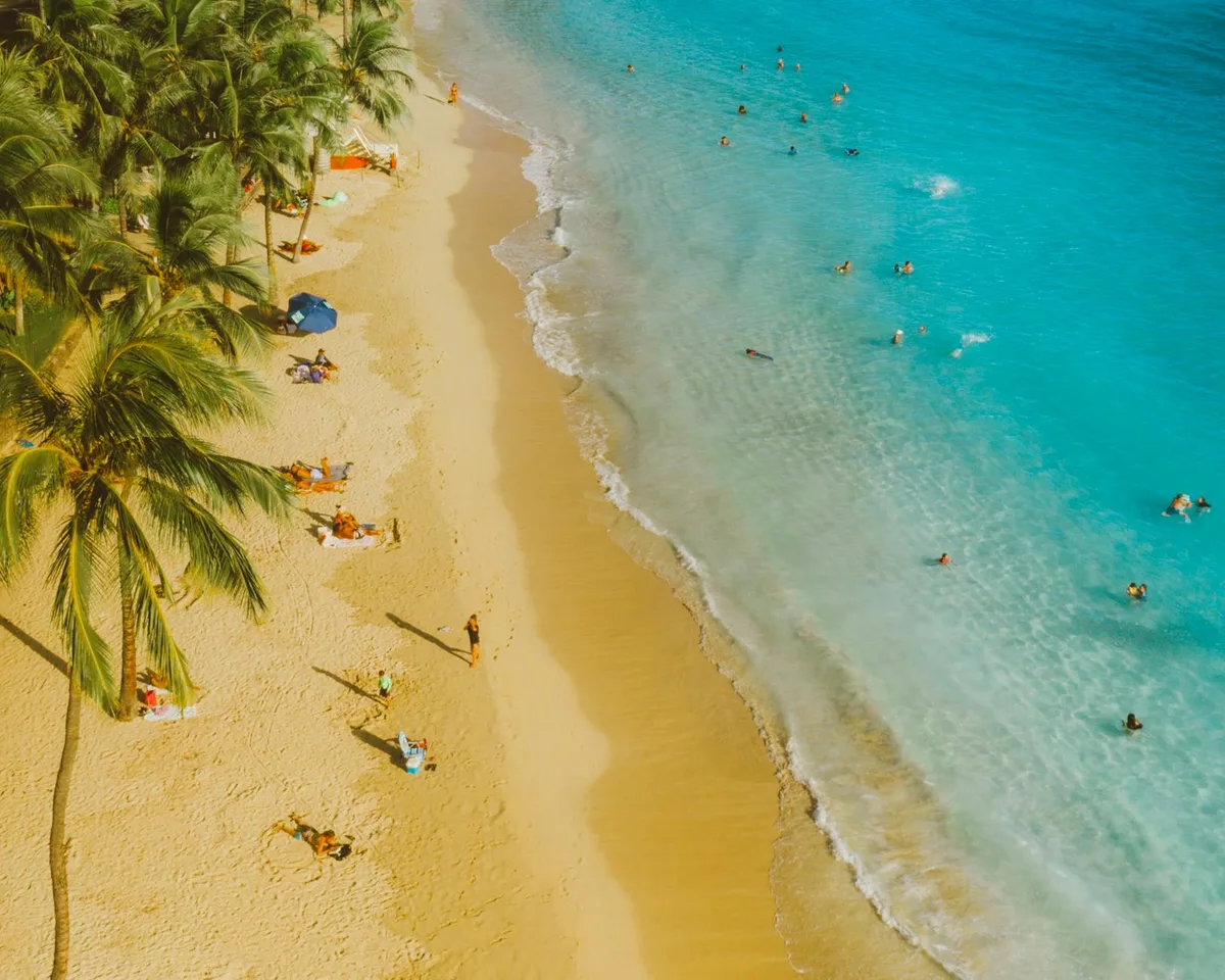 Вид на тропический пляж с пальмами и бирюзовой водой для летнего отдыха