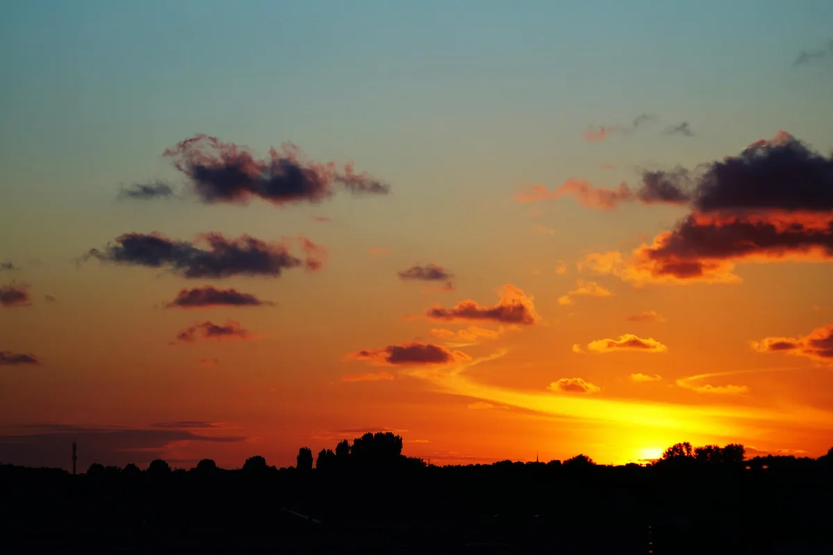 Atemberaubender Sommer-Sonnenuntergang mit leuchtenden Wolken und Silhouetten von Bäumen, die eine malerische Landschaft schaffen.