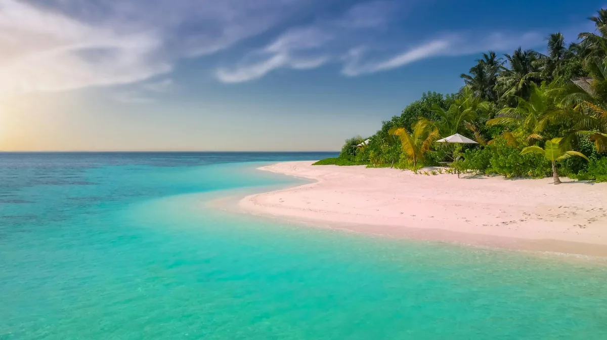 Plage tropicale paisible avec palmiers et eau turquoise claire, vacances d'été relaxantes.