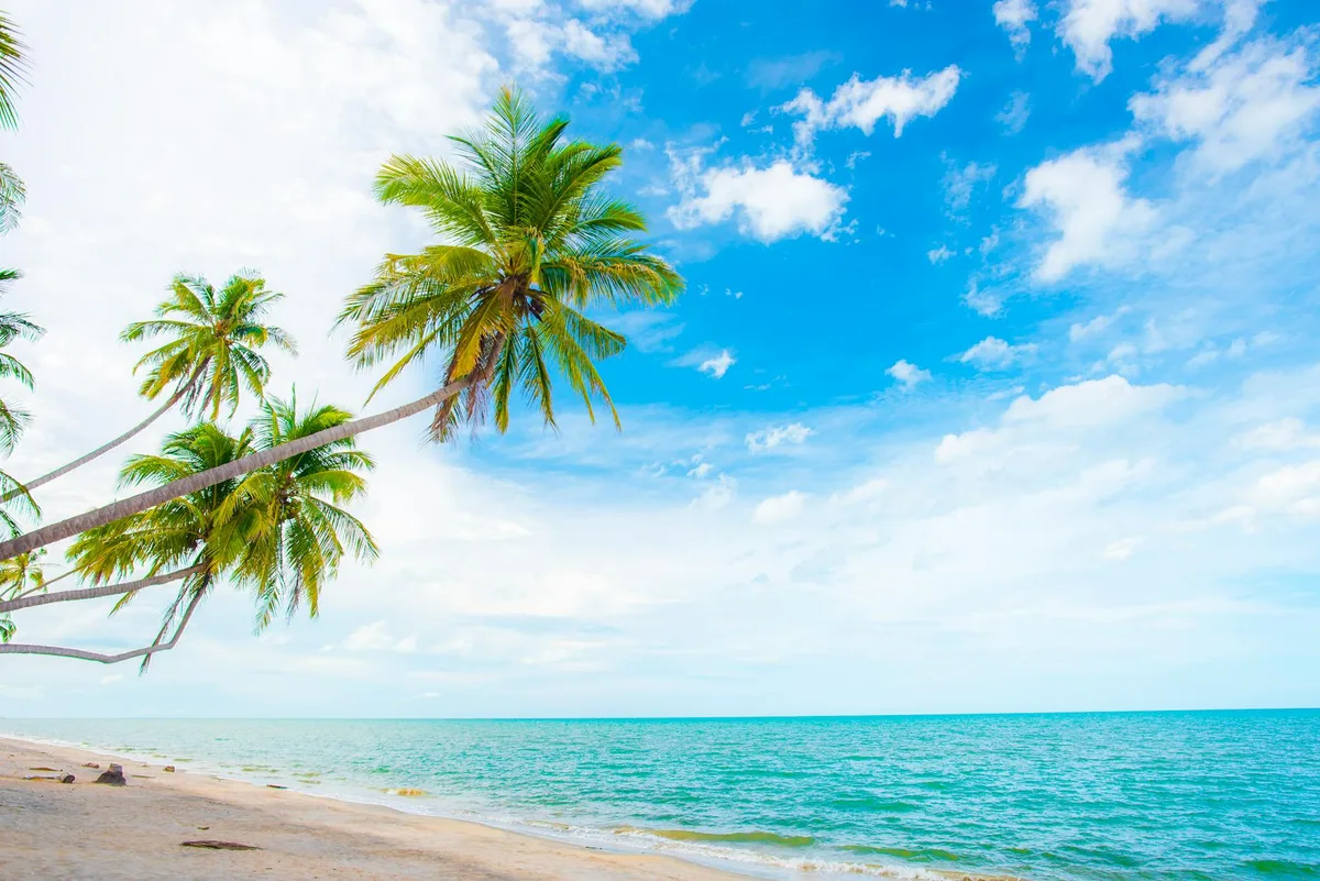 Spiaggia tropicale mozzafiato con palme e cielo blu vivido, fuga estiva
