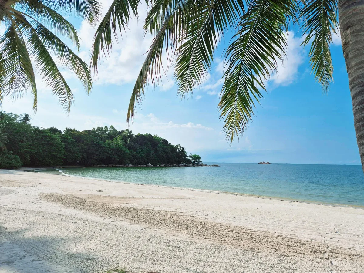 Plage tropicale bordée de palmiers sous un ciel bleu à Singapour