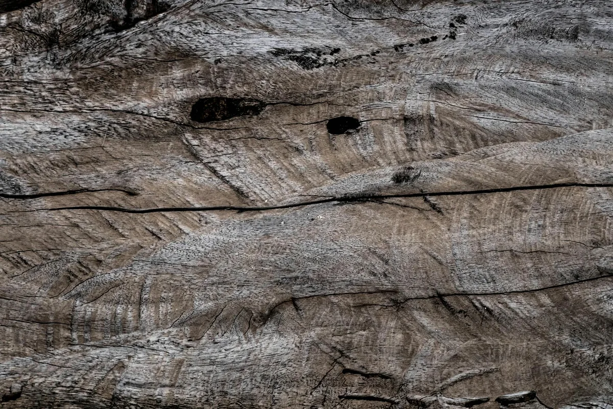Gros plan d'une surface en bois texturée avec motifs de grain naturels, idéal pour les fonds.