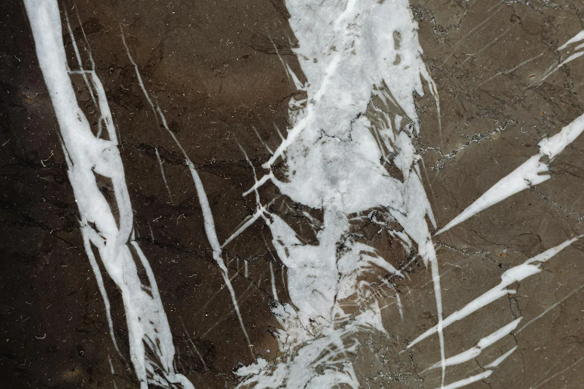 Primo piano di marmo dettagliato con texture e venature naturali