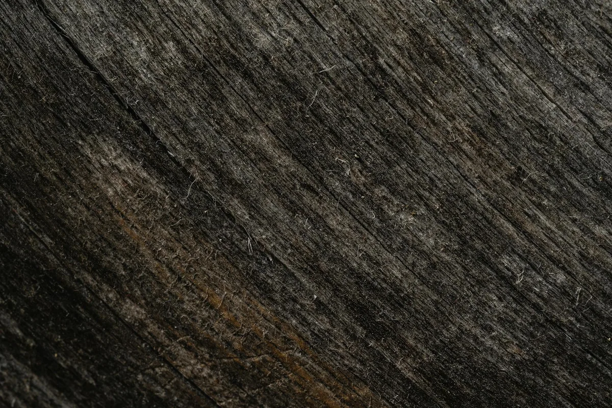 Primo piano di texture di legno stagionato con motivi naturali, perfetta per sfondi.