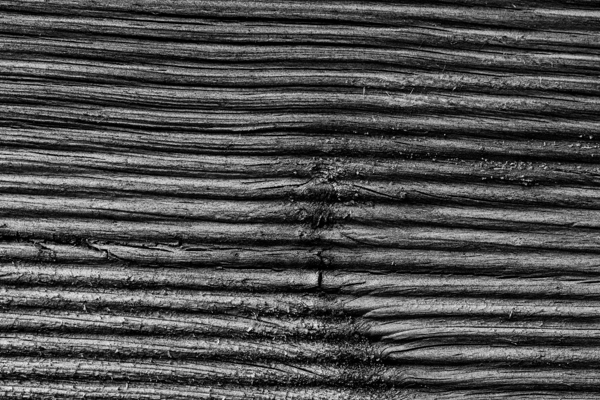 Tessitura legno invecchiato in bianco e nero con venature naturali