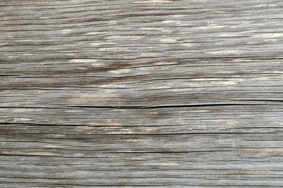 Primo piano di texture di legno grezzo con venature e pattern naturali