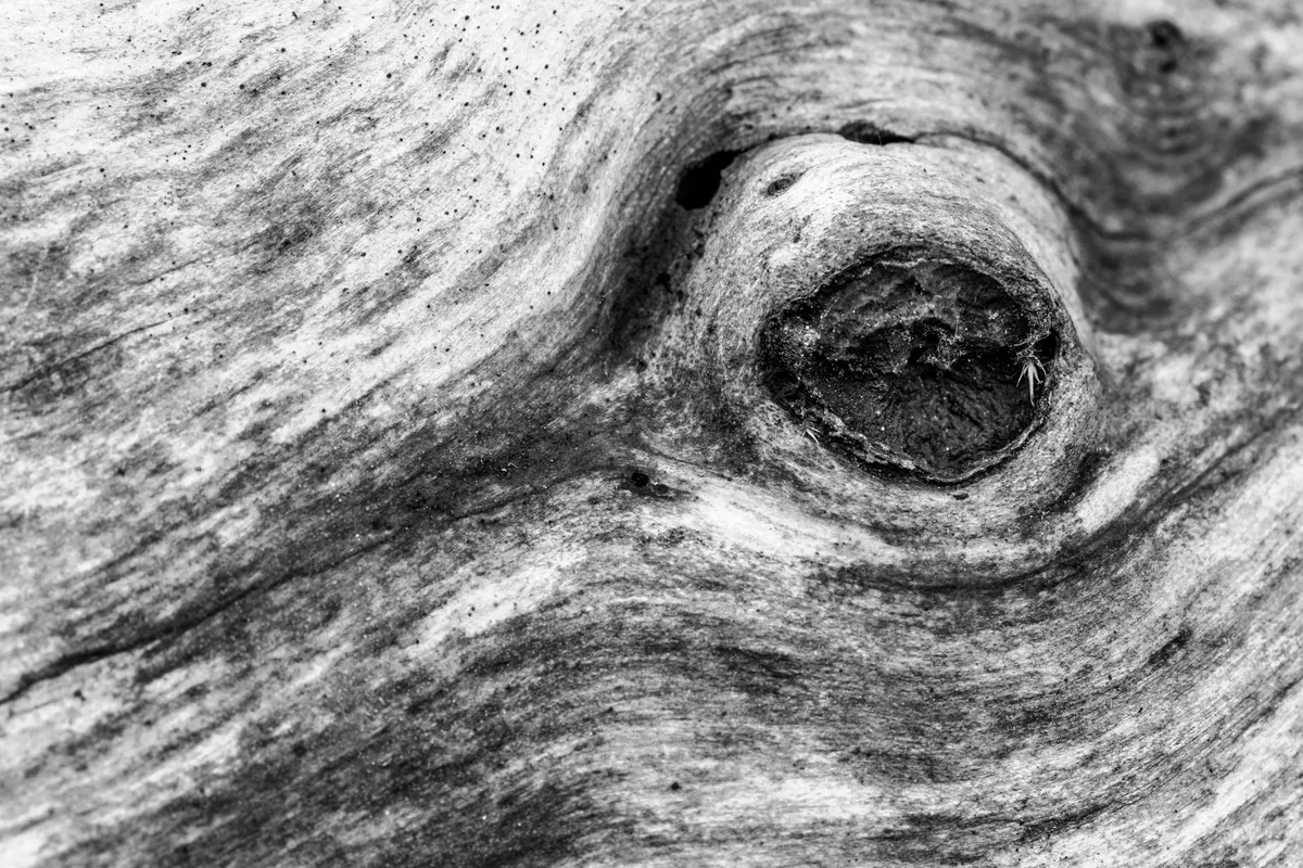 Astratto intricato in bianco e nero di un nodo e venatura del legno