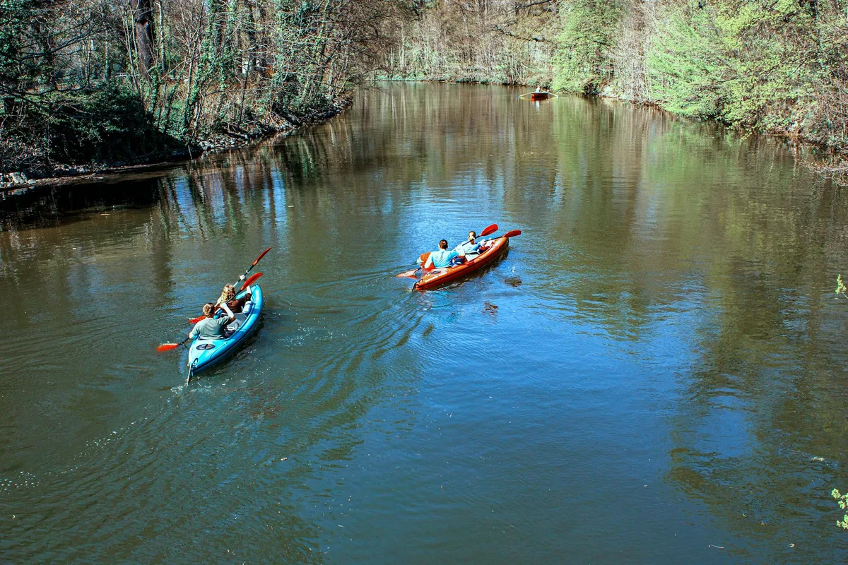 Gruppo in kayak su fiume sereno circondato da verde a Lipsia, Germania