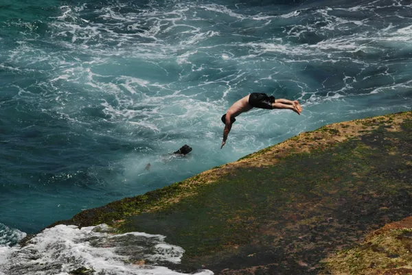 Thrilling dive into the sea from a rugged cliff in Sydney, Australia.