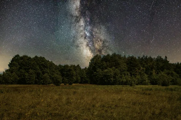 Via Lattea con cielo stellato su prato e foresta, paesaggio notturno