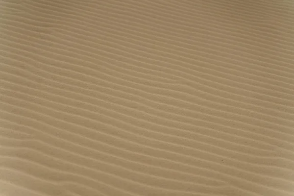 사막 풍경의 물결 모래 패턴 클로즈업, 자연 질감 표현