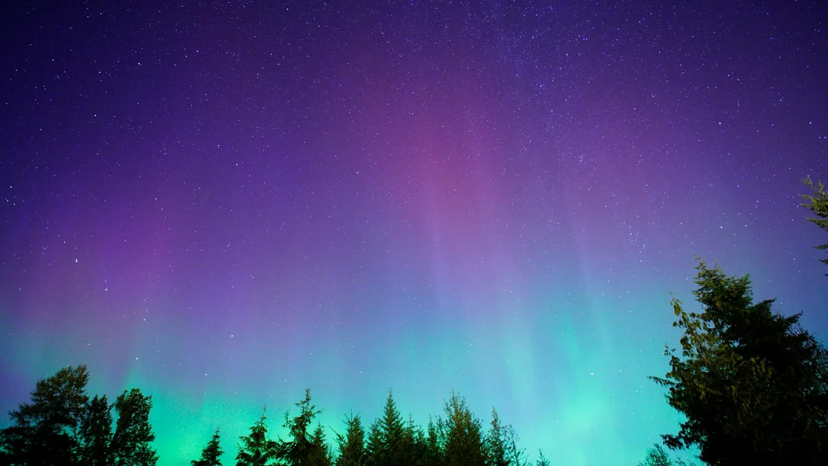 Aurora boreale su cielo stellato e foresta, scena notturna