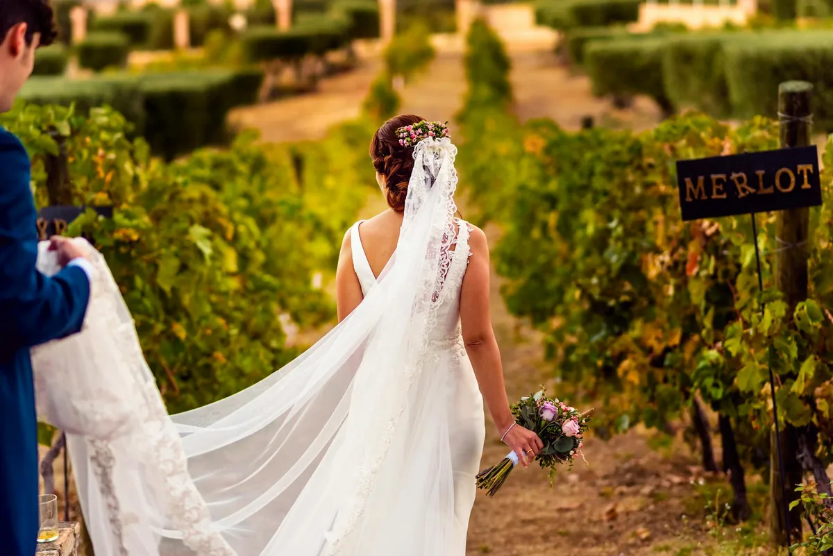 Sposa elegante in abito bianco cammina in un vigneto a Toledo con bouquet e velo
