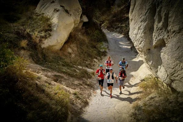 A group of runners participating in a trail race through a picturesque desert canyon.