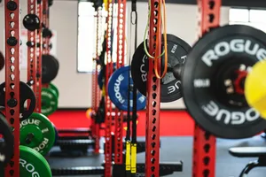 Colorful weightlifting equipment in a contemporary gym setting showcasing strength training options.