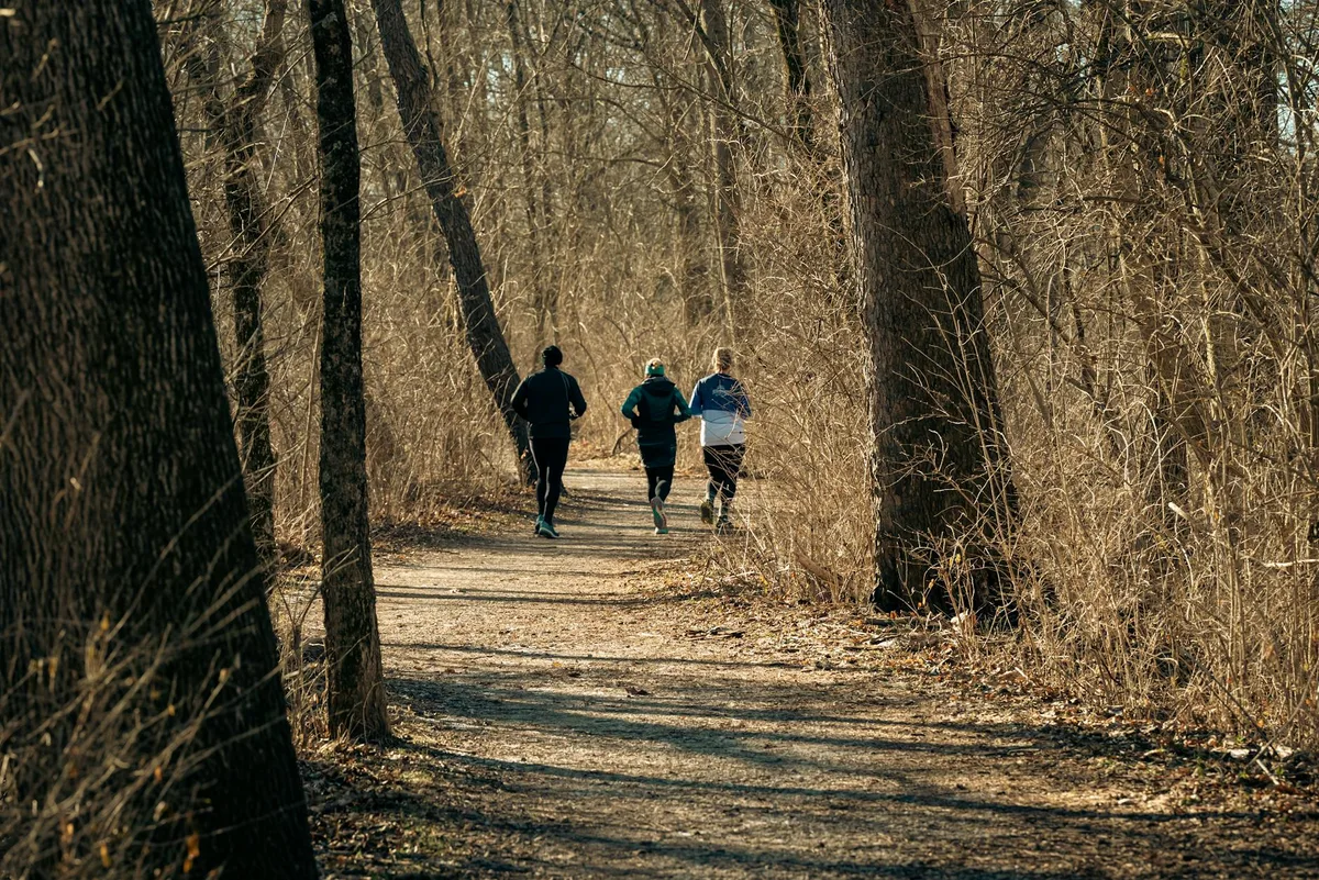 Drei Erwachsene joggen im Winter auf einem kahlen Waldweg, fördern Fitness und Outdoor-Aktivität.