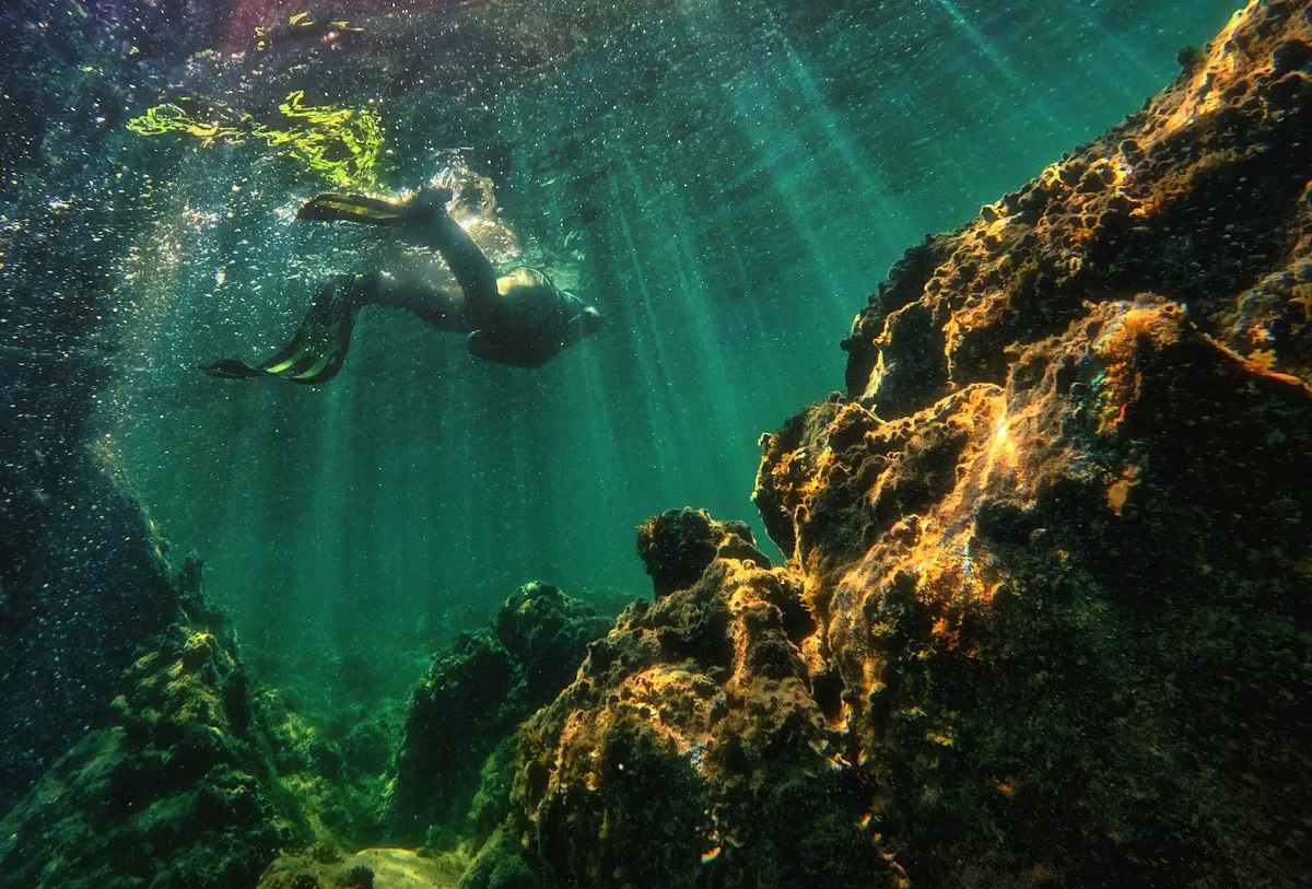 Sub tra barriera corallina soleggiata e acque turchesi